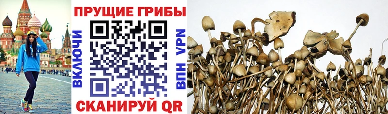 Псилоцибиновые грибы Magic Shrooms Поворино