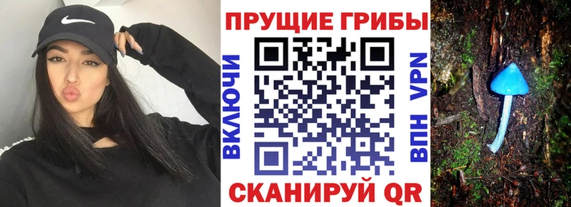 Галлюциногенные грибы мицелий сколько стоит Поворино